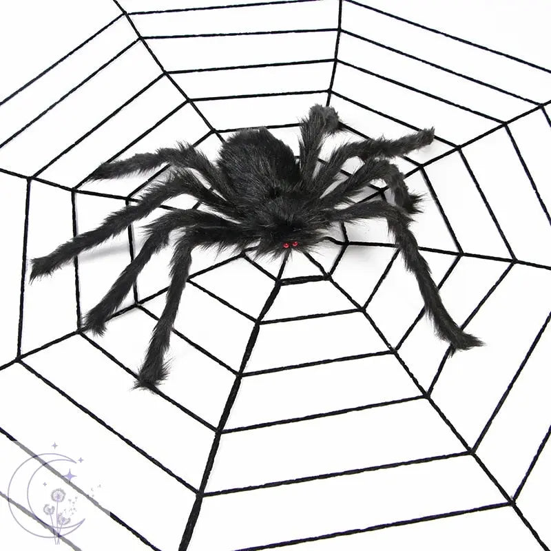 Halloween Spider 