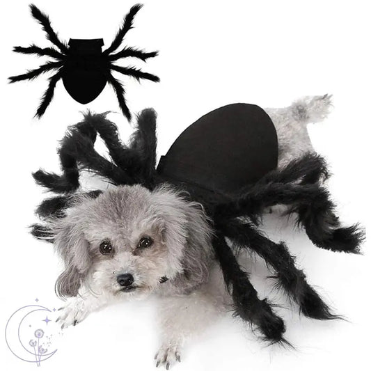 Spider Costume for Pets 