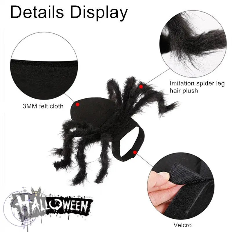 Spider Costume for Pets 