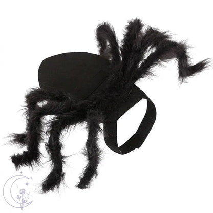 Spider Costume for Pets 