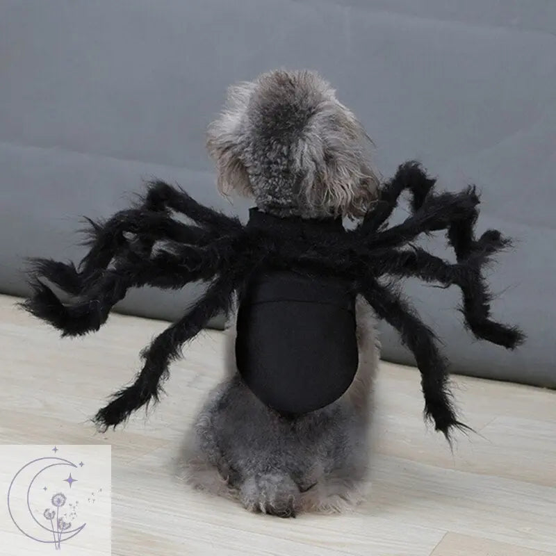 Spider Costume for Pets 